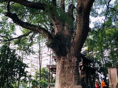-安溪清水岩