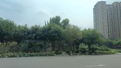 -宝馨月月子中心(友谊医院店)