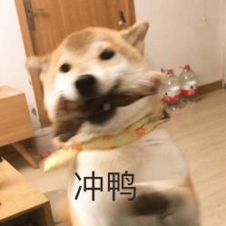 -日本直营PURE专业脱毛中心