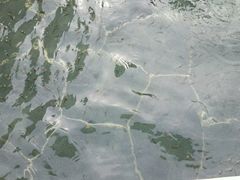 -苏州湾王焰温泉度假酒店