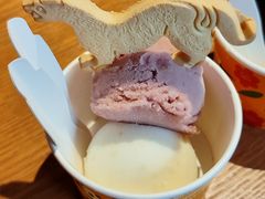 -陕拾叁-西安糕点(北院门创始店)