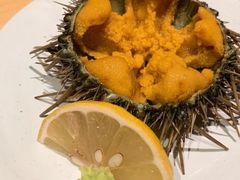 时令活海胆-泉寿司(万科公园店)