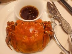 清蒸大闸蟹-新花城蟹粉馆(乌鲁木齐店)