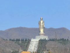 -中原大佛景区