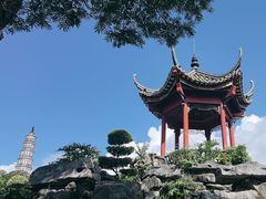 -顺峰山公园