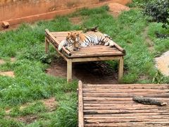 -昆明动物园