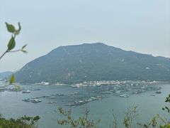 -南丫岛