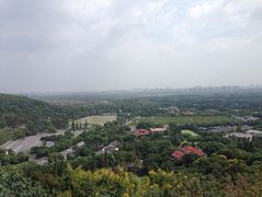 -上海佘山国家森林公园西佘山园