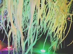 -陆地游轮吉林神农温泉