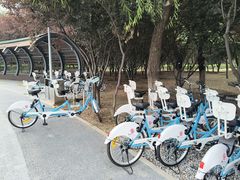 -绿堤公园