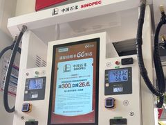 -中国石化(杨思路店)