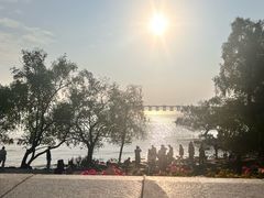 -宝安西湾红树林湿地公园