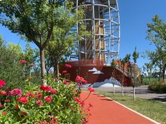 -永定河休闲森林公园