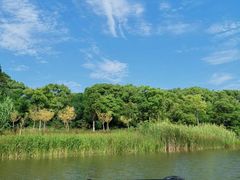 -上海长兴岛郊野公园