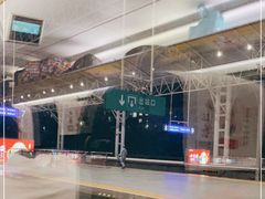 -合肥火车站(地铁站)