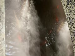 -湊湊火锅·茶憩(石家庄万象城店)