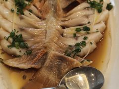 东海红斑魚-骏莱海鲜鱼港(五角场店)