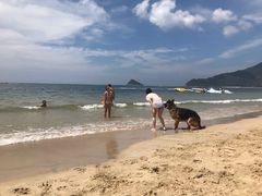 -西涌国际滨海旅游区