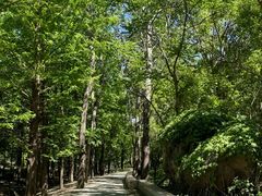 -白水寺森林公园
