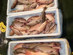 -岳砦海鲜农贸市场