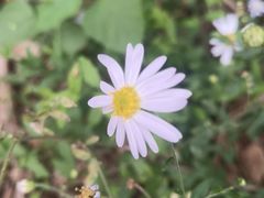 -青龙山国家森林公园