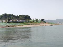 -金海湾滨江公园