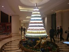 -常州武进九洲喜来登酒店