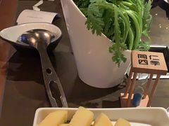 -同仁四季椰子鸡(罗湖国贸店)