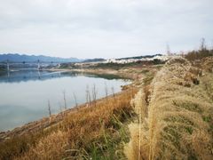 -金海湾滨江公园