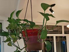 -缘福乡村铁锅炖民宿(八达岭店)