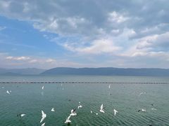 -大理洱海