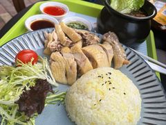 -上海野生动物园老虎餐厅