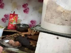 果篦-老城里煎饼果子(元纬路店)