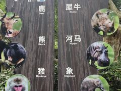-成都动物园
