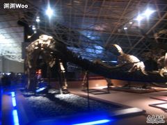 -世界恐龙谷景区