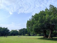 -南宁南湖公园