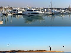 -巧克力渔家.小船海鲜胶东菜(万平口店)