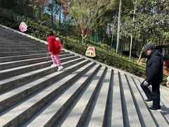 -上海佘山国家森林公园天马山园