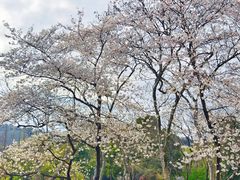 -朴墅(西湖青芝坞店·杭帮菜·家宴.14年的店)