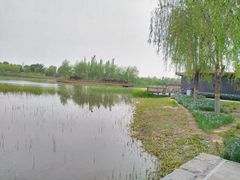-张家湾公园