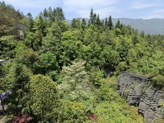 -梭布垭石林景区