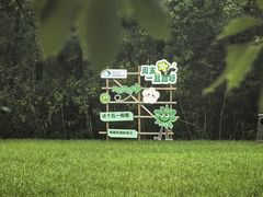-同里国家湿地公园