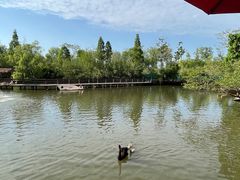 -溱湖国家湿地公园