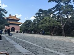 -北陵公园