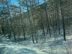 -北极村旅游风景区