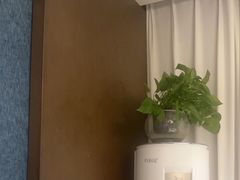 -梅花香里大酒店(郁金香路店)
