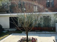 -一尺花园(安和花园店)