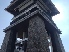 -大湾区中央湿地公园