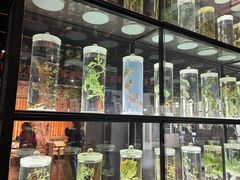 -广东中医药博物馆