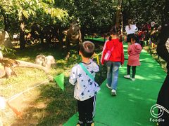 -西安秦岭野生动物园